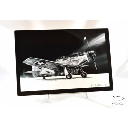 Plaque Alu décorative P51 Mustang 