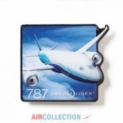 Pins Boeing 787 Big Picture
