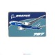 Pins Boeing S12-787